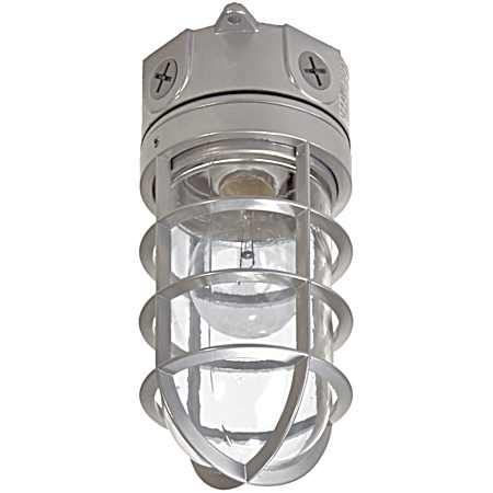 100 Watt Vapor Tight Incandescent Floodlight