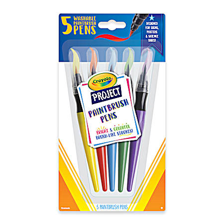 Paint Brush Pens - 5 ct