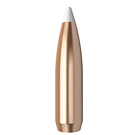 AccuBond Bullets
