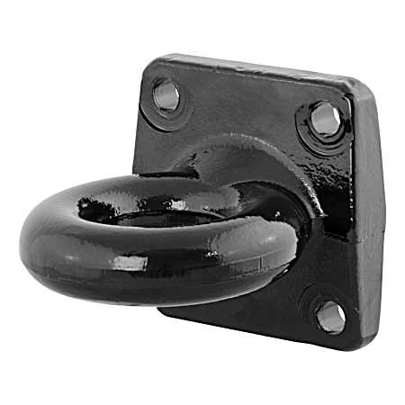Mount Style Lunette Eye