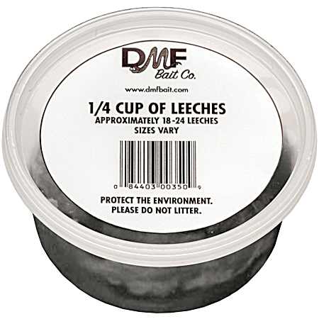 Leeches - 24 Pk
