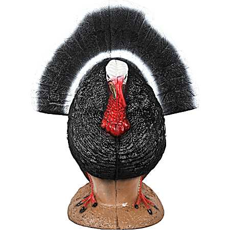 Strutter Turkey Target