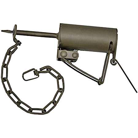 Dog Proof Racoon Trap