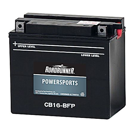 Low Maint / H-P Grp 16 12 Mo Dry Power Sport Battery