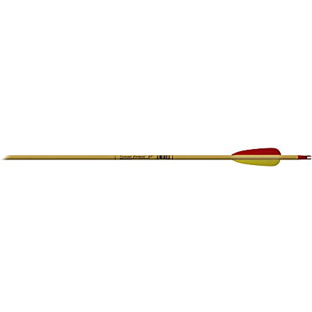 Thunder Express 27 in Wood Arrow