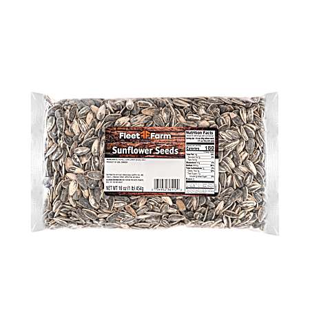16 oz Sunflower Seeds