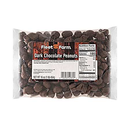 16 oz Dark Chocolate Covered Peanuts