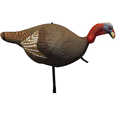 Foam Jake Turkey Decoy