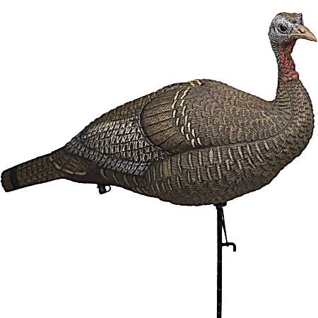 Lucky HD Collapsible Hen Turkey Decoy