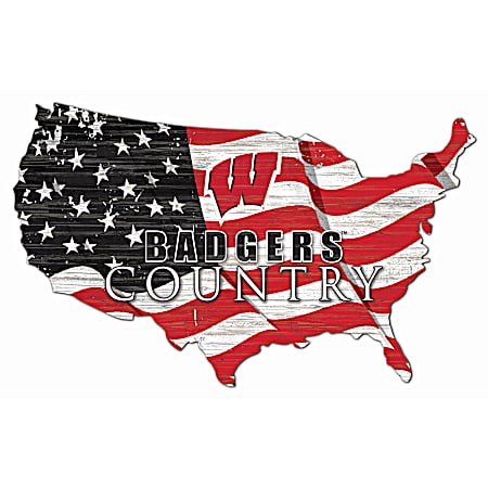 Wisconsin Badgers Distressed USA Silhouette Team Sign