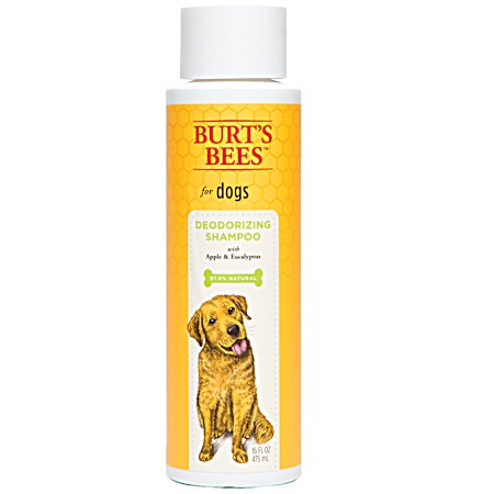 16 fl oz Deodorizing Apple & Honey Dog Shampoo
