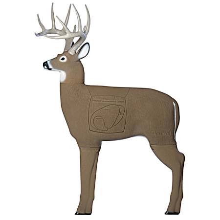 3D Buck Archery Target