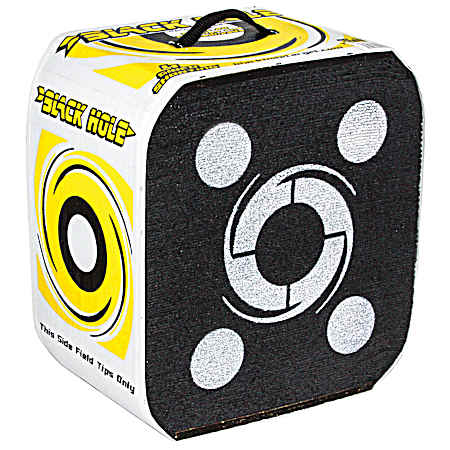 22 in Archery Target