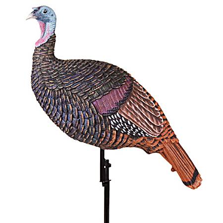Shady Baby Upright Hen Turkey Decoy