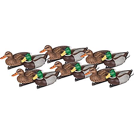 Master Series Mallard Hunting Decoys - 12 Pk