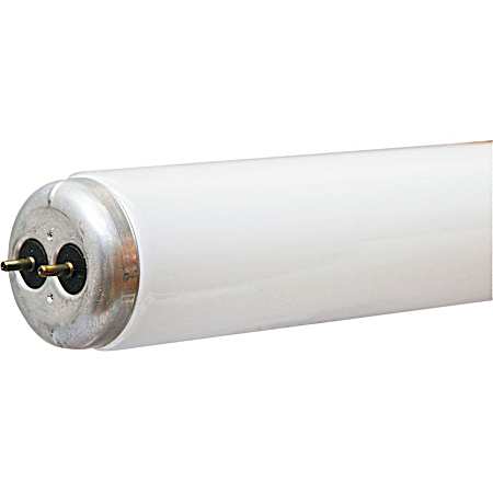 20W T12 24 In. K&B Fluorescent Light