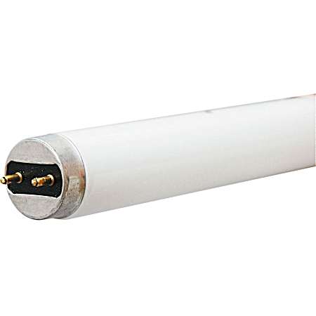 30W T8 36 In. K&B Fluorescent Light