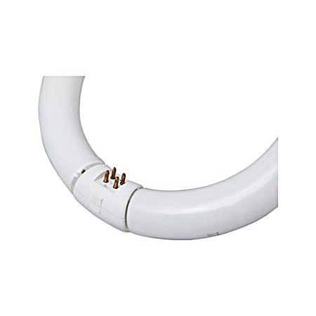 22W T9 K&B 8 In. Circline Fluorescent Bulb