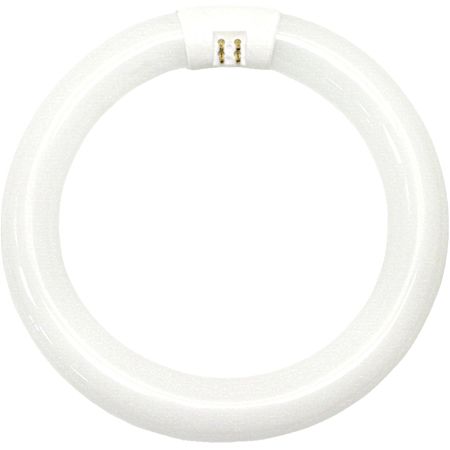 8 In 22W T9 Circline Fluorescent Light