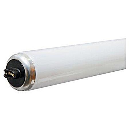 95W T12 Garage & Basement Bulb