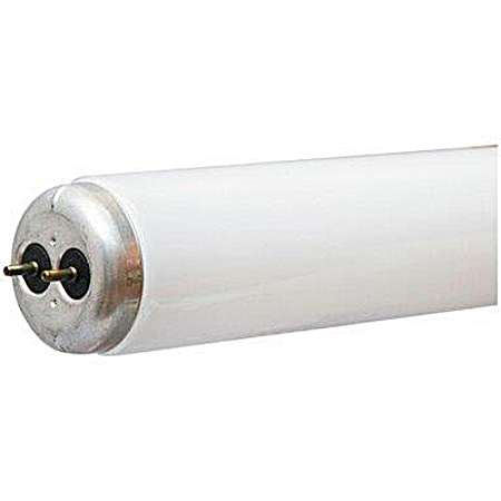 40W T12 Utility Bulb - 2 Pk.