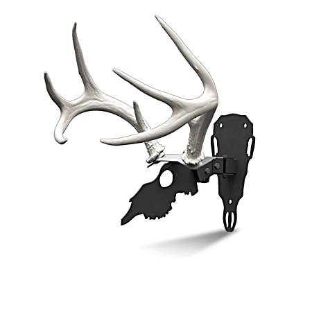 Antler Shed Mount