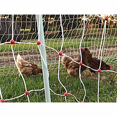 48 in x 85 ft Poultry Netting