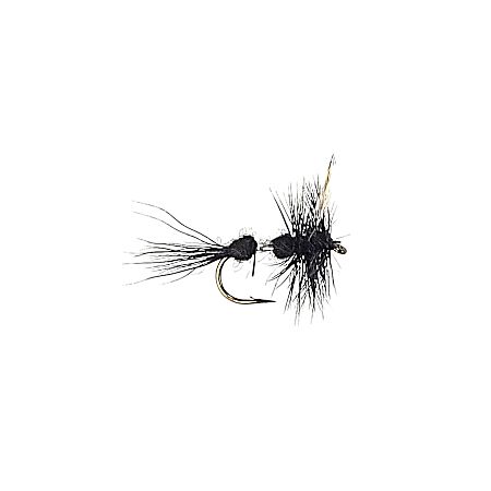 #12 Dry Fly - Flying Ant