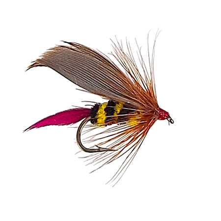 #10 Wet Fly - Bee