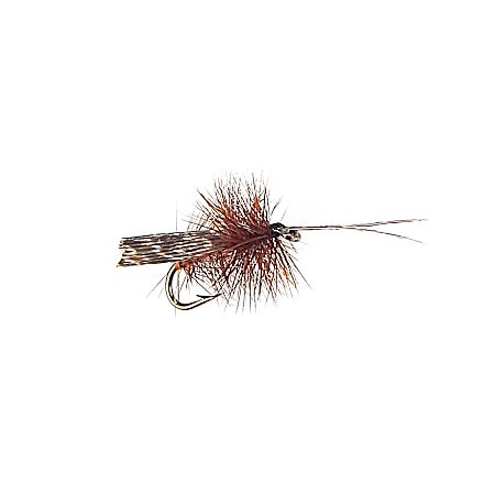 #10 Dry Fly - Tent Caddis