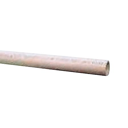 10 ft CPVC Pipe