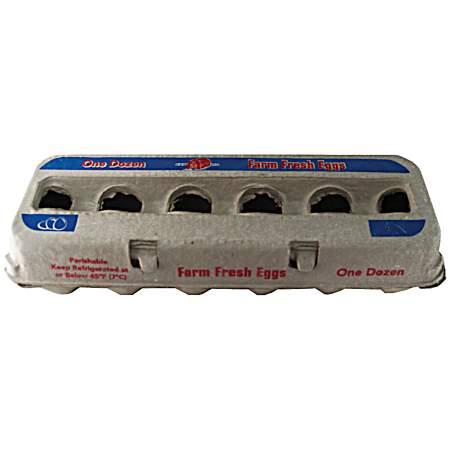 Empty Dozen XL Egg Carton