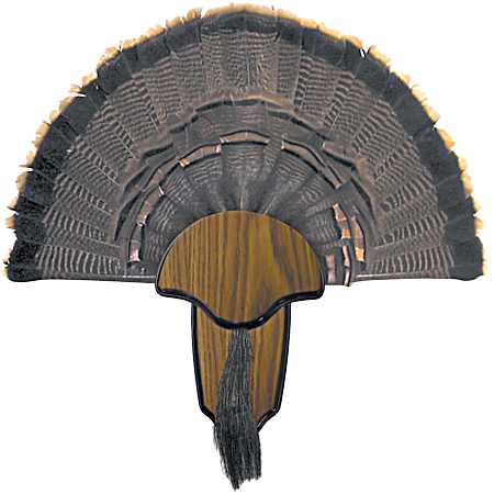 Tail & Beard Turkey Mounting Plaque