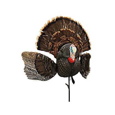 Mojo Scoot-N-Shoot MAX Tom Turkey Hunting Decoy w/Realistic Fan