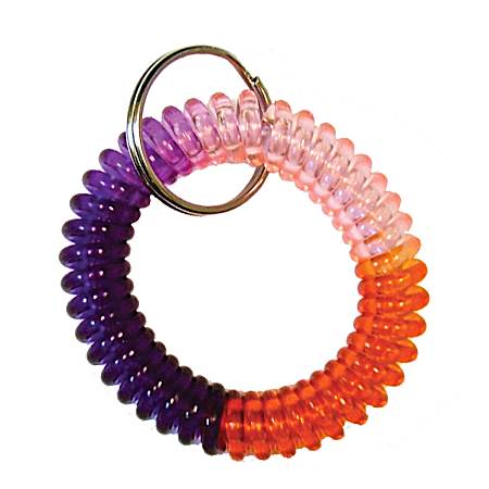 Multicolor Coiled Key Ring - Assorted