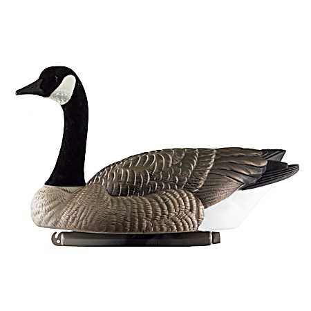 Rogue Series Canada Goose Floating Goose Decoys - 6 Pk
