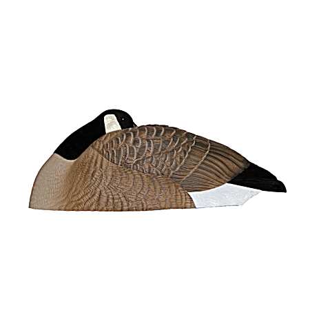 Rogue Series Canada Goose Sleeper Shells Goose Decoys - 12 Pk