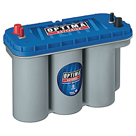 Blue Top Marine Battery Grp 31 24 Mo 900 CCA