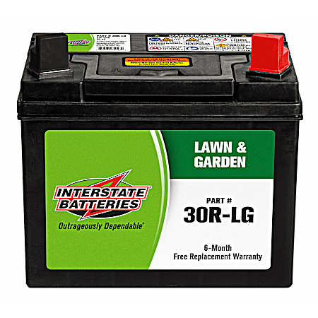 Group 30R-LG 250 CCA Lawn & Garden Battery