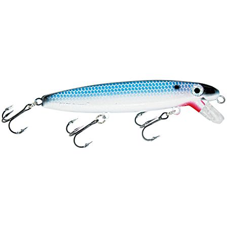 Shallow Raider Blue Back Shad Crankbait