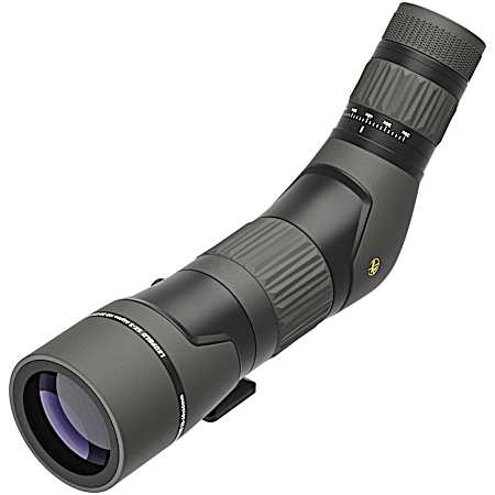 SX-2 Alpine HD 20-60x60 Angled Scope