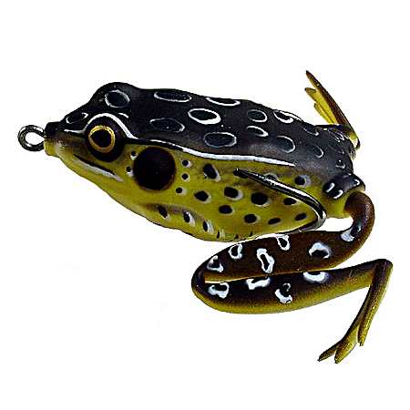 Pocket Frog - Croaker Frog