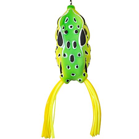 Compact Frog - Leopard