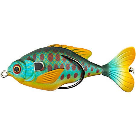 Sunfish Propfish - Pumpkinseed
