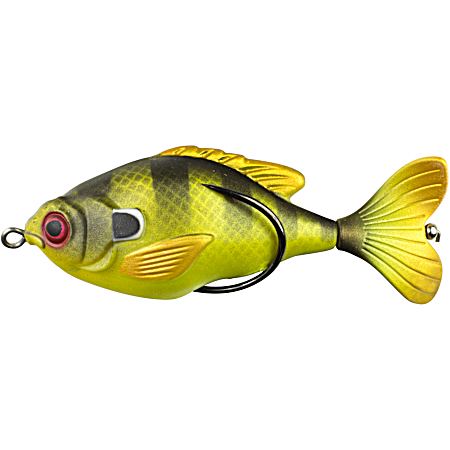 Sunfish Propfish - Green Sunfish