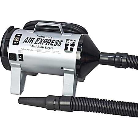 Air Express Mini Blow Dryer