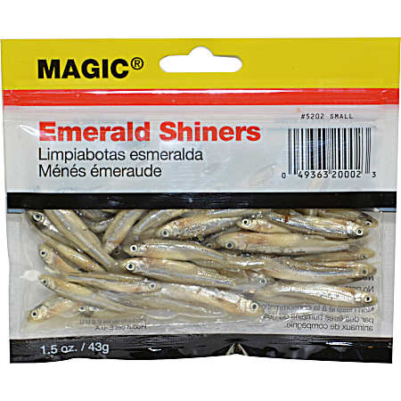Preserved Small Emerald Shiner Minnow