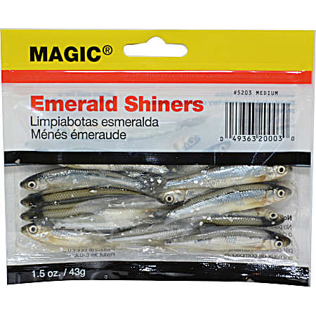 Preserved Medium Emerald Shiner Minnow