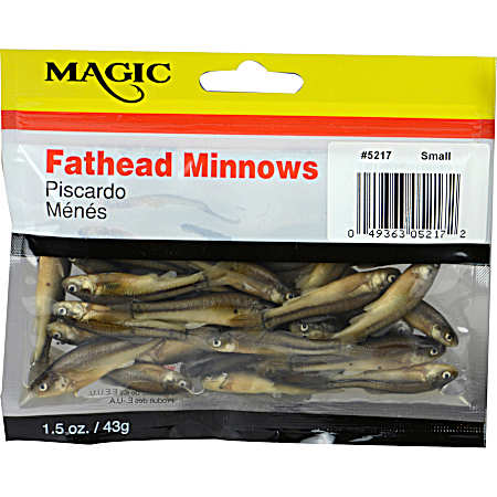 Preserved Fresh Fathead Minnows Small