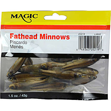 Preserved Fresh Fathead Minnows Lg
